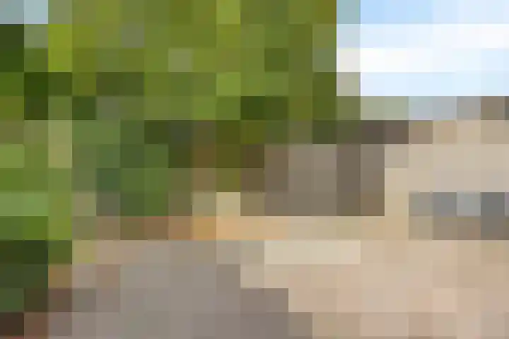 Anjervallei 74 's-Hertogenbosch thumbnail 31