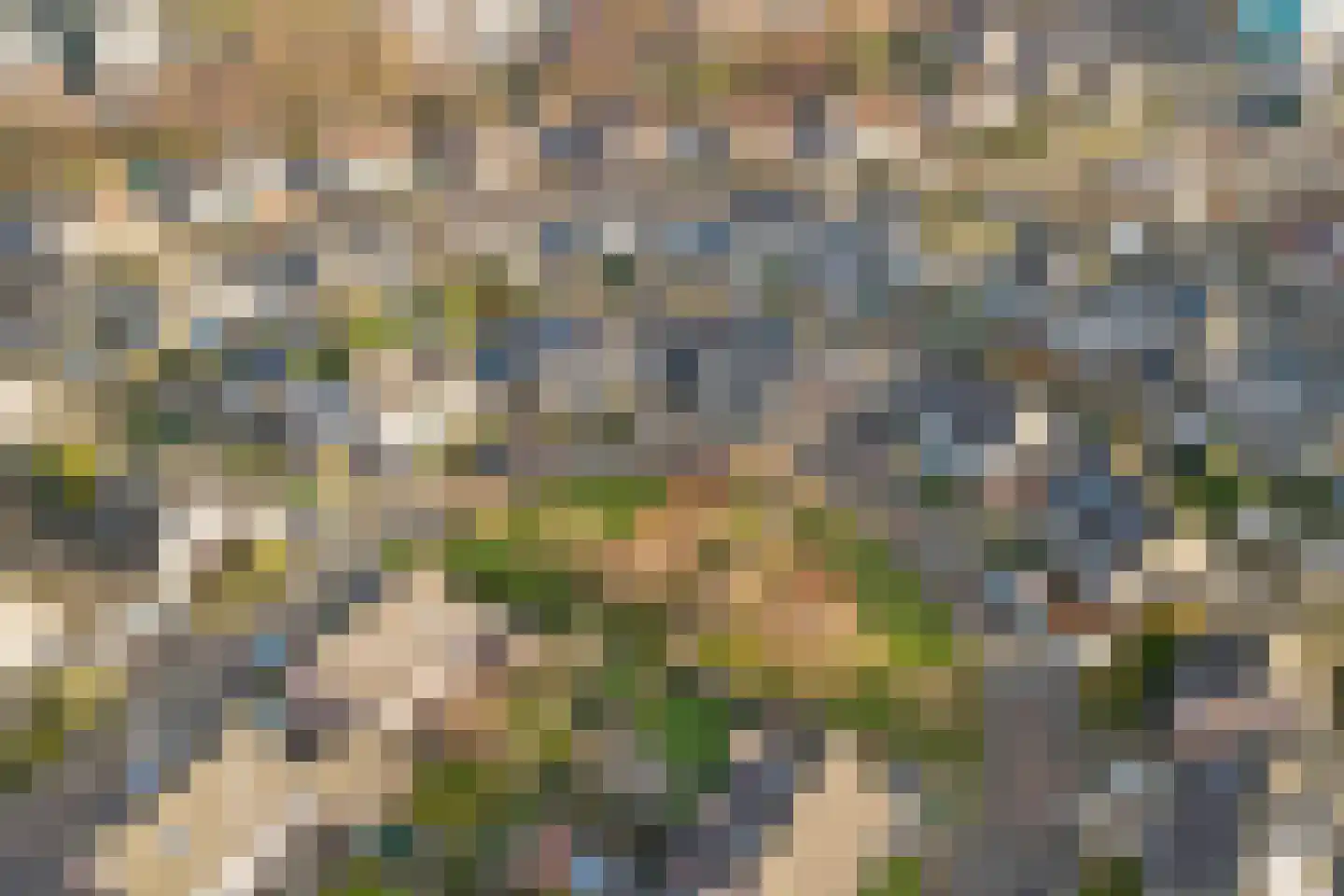 Anjervallei 8 's-Hertogenbosch thumbnail 42