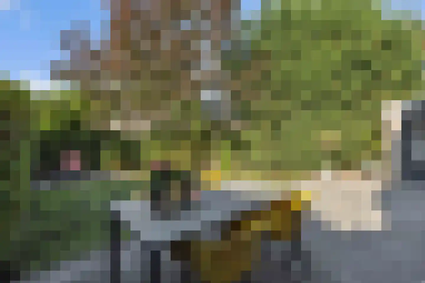 Anjervallei 84 's-Hertogenbosch thumbnail 24