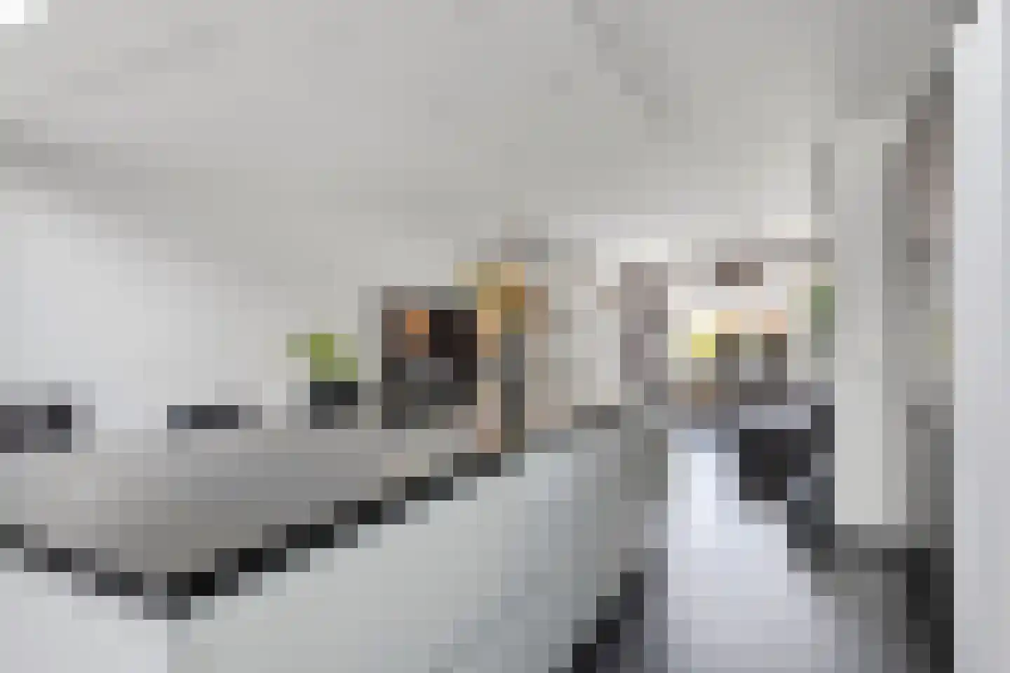 Anjervallei 87 's-Hertogenbosch thumbnail 16