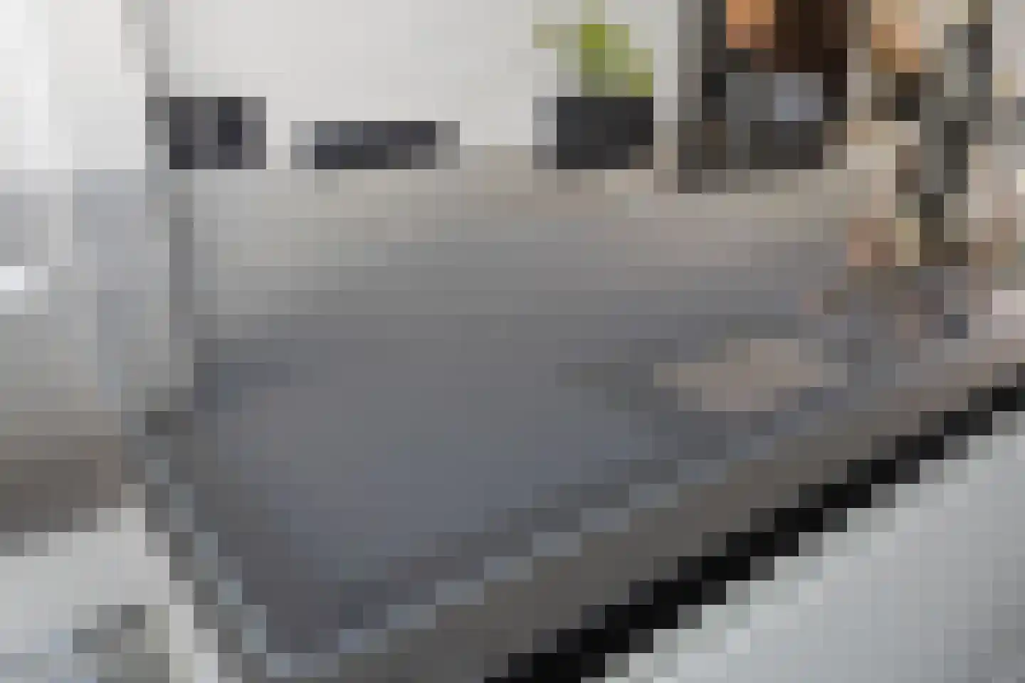 Anjervallei 87 's-Hertogenbosch thumbnail 17
