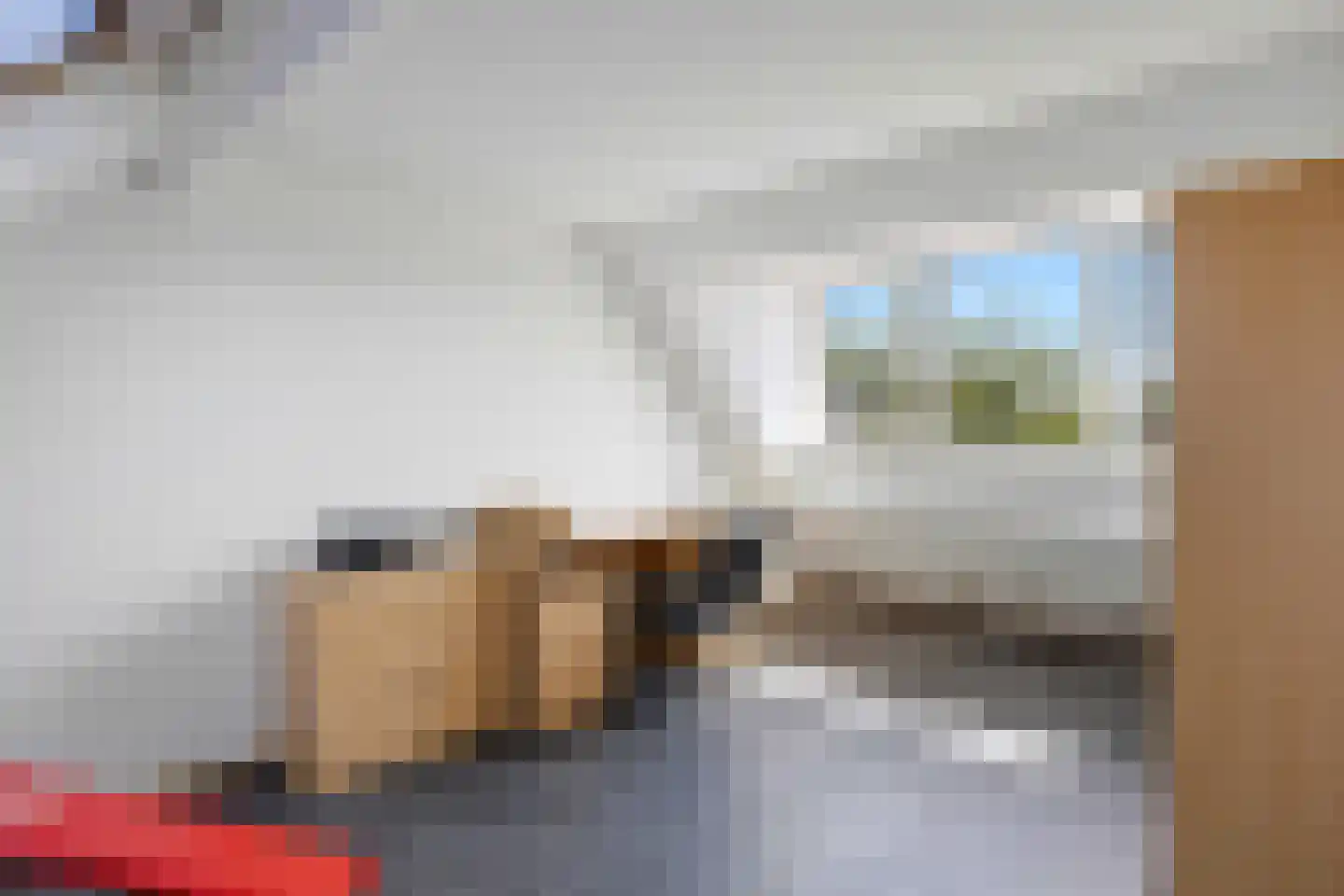 Anjervallei 87 's-Hertogenbosch thumbnail 31
