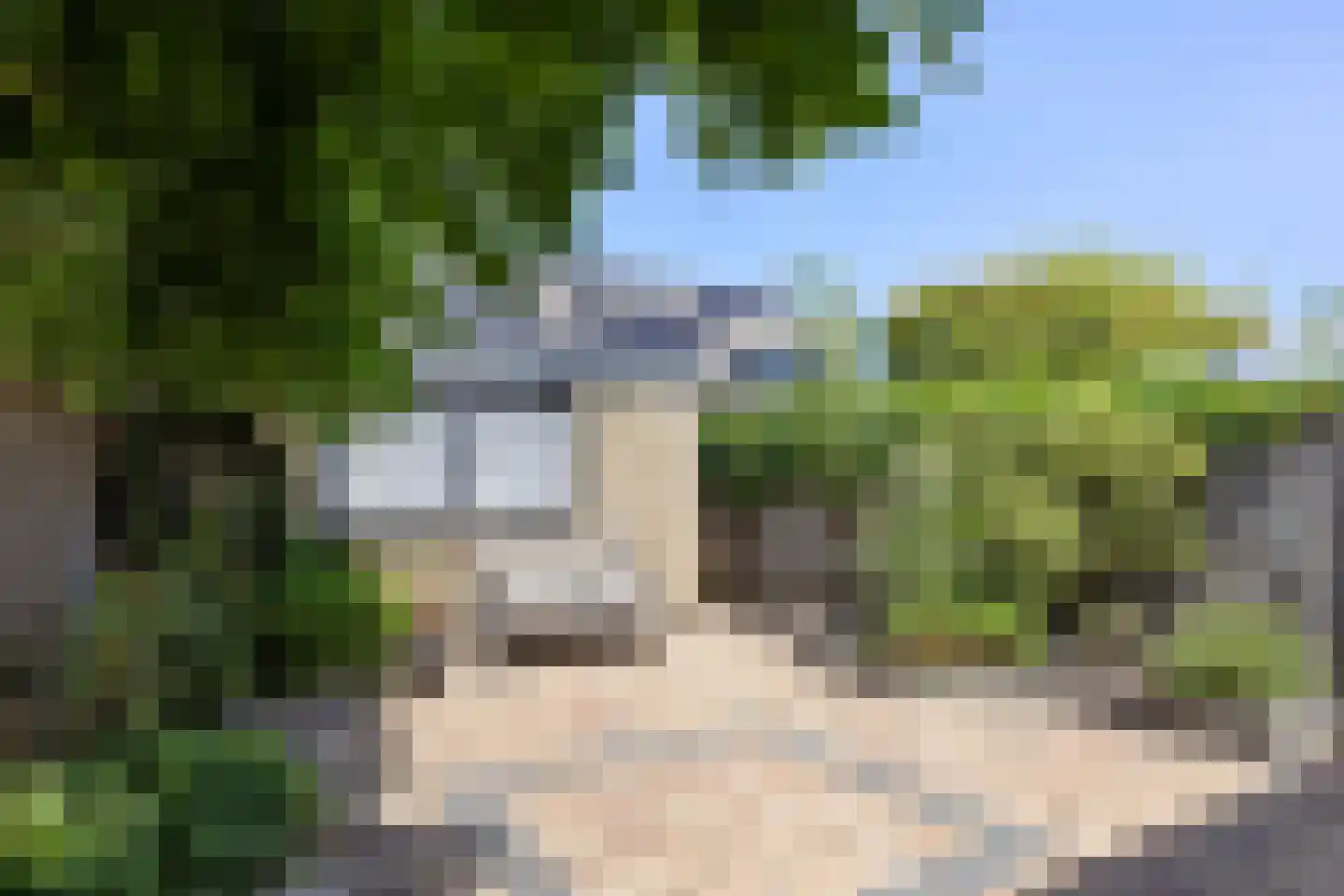 Anjervallei 87 's-Hertogenbosch thumbnail 34