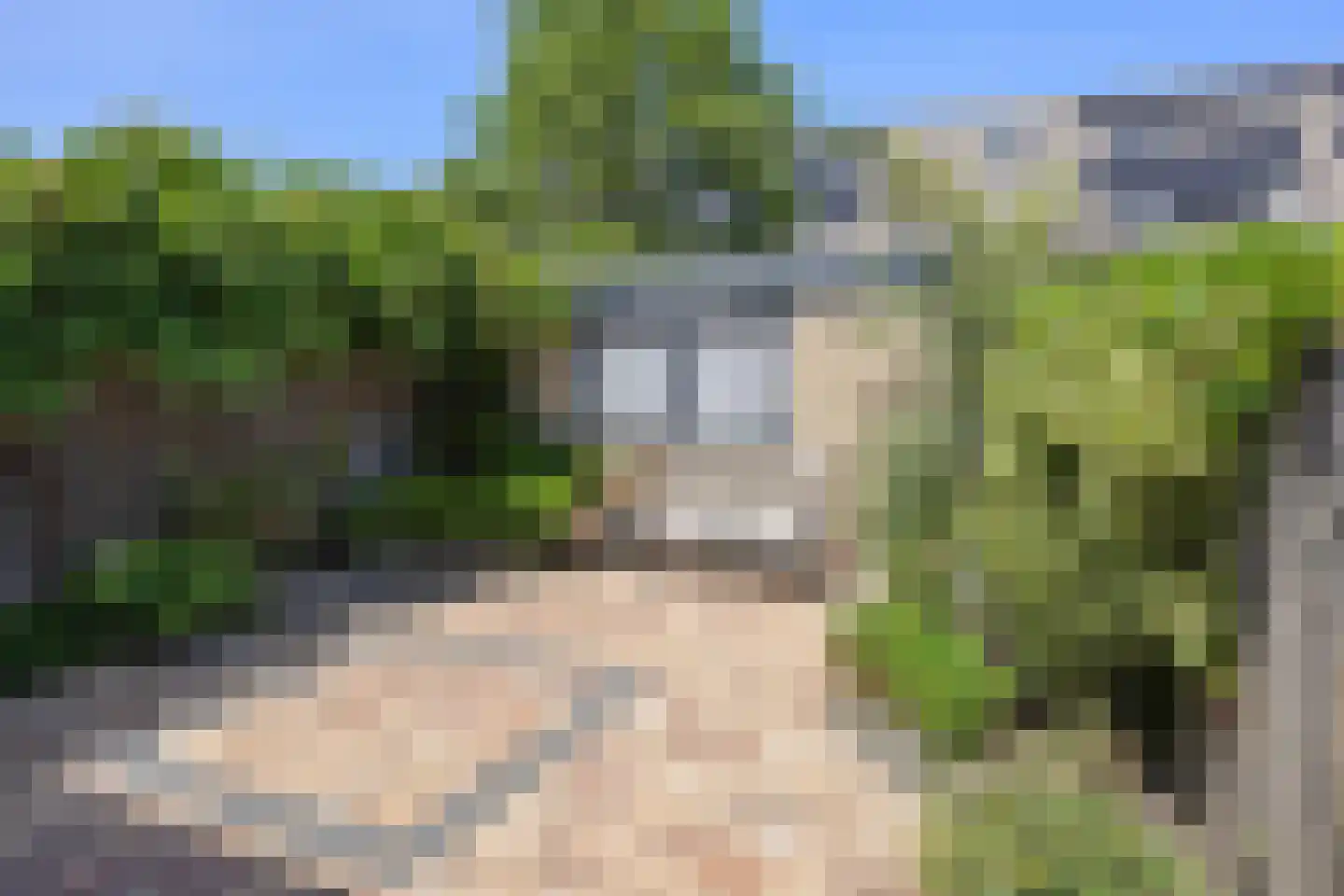 Anjervallei 87 's-Hertogenbosch thumbnail 4
