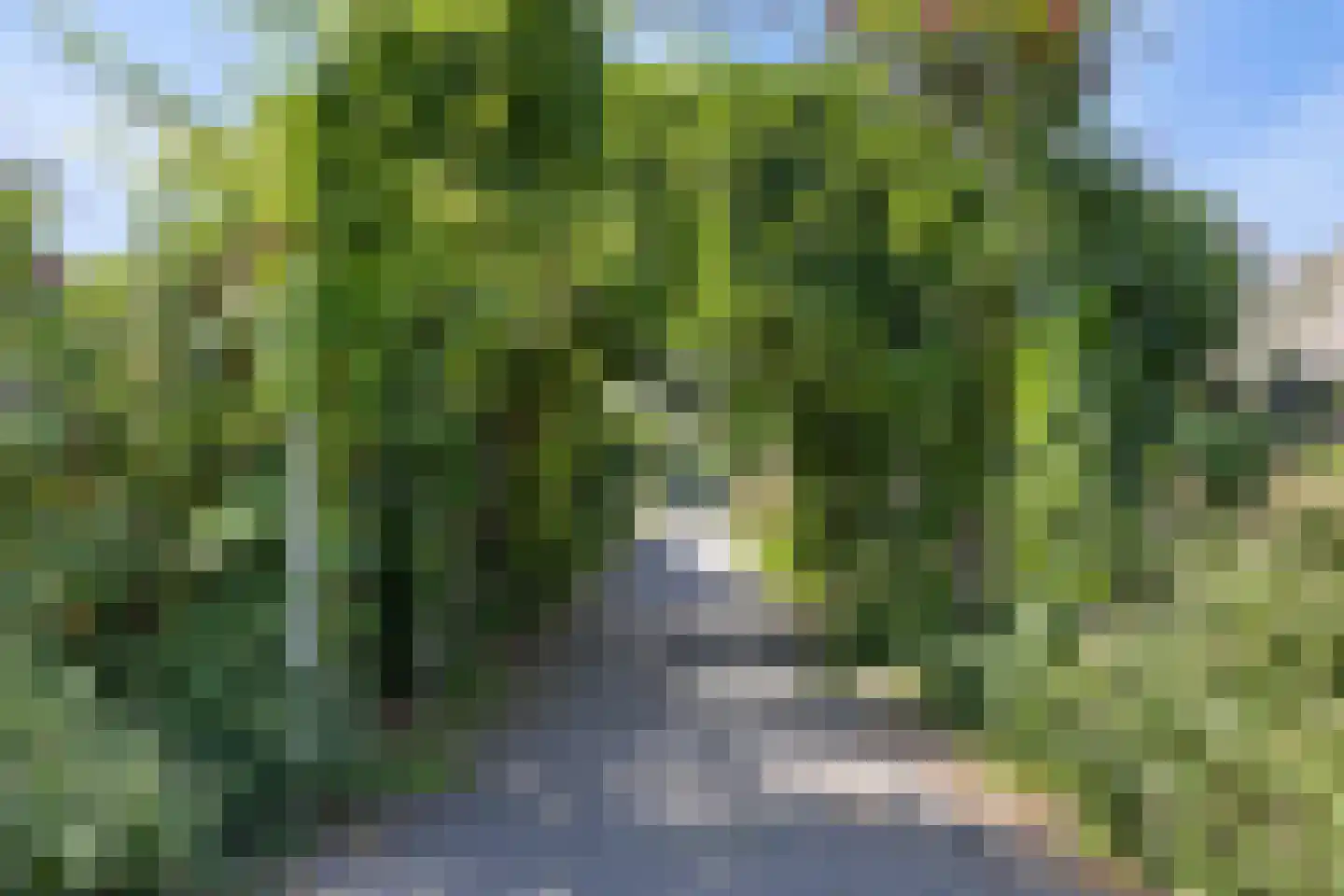 Anjervallei 87 's-Hertogenbosch thumbnail 40
