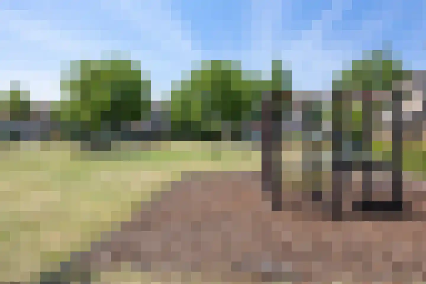 Anjervallei 87 's-Hertogenbosch thumbnail 42
