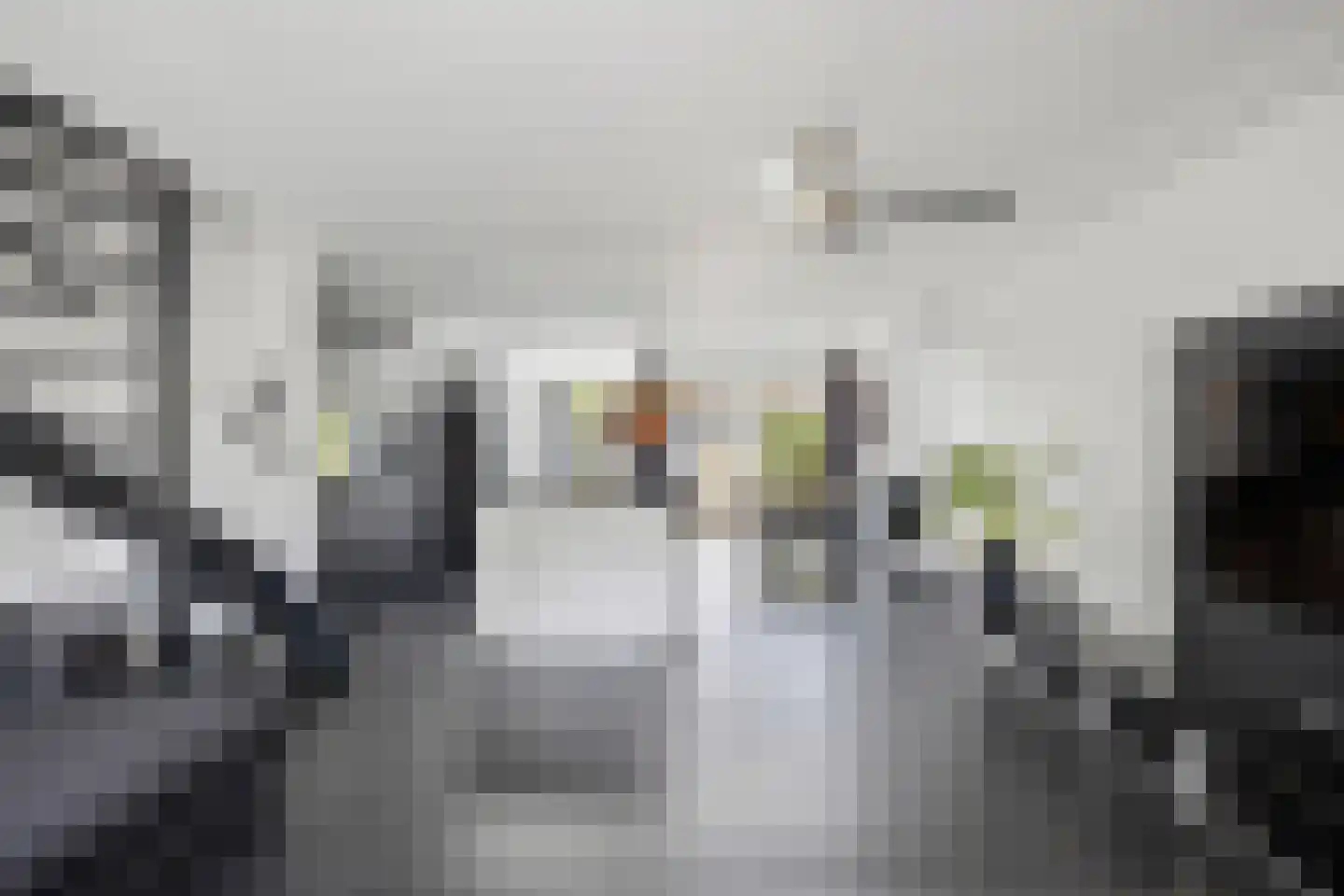 Anjervallei 87 's-Hertogenbosch thumbnail 8