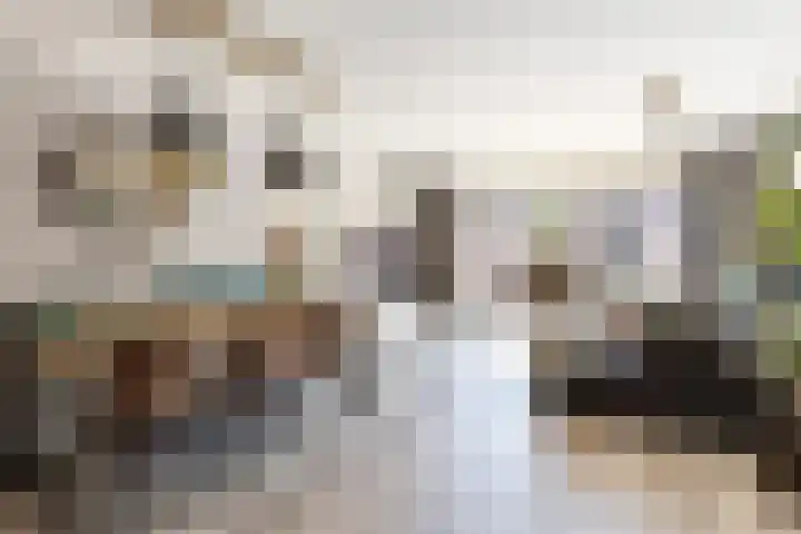Anjerveld 15 Nieuwerkerk aan den IJssel thumbnail 11