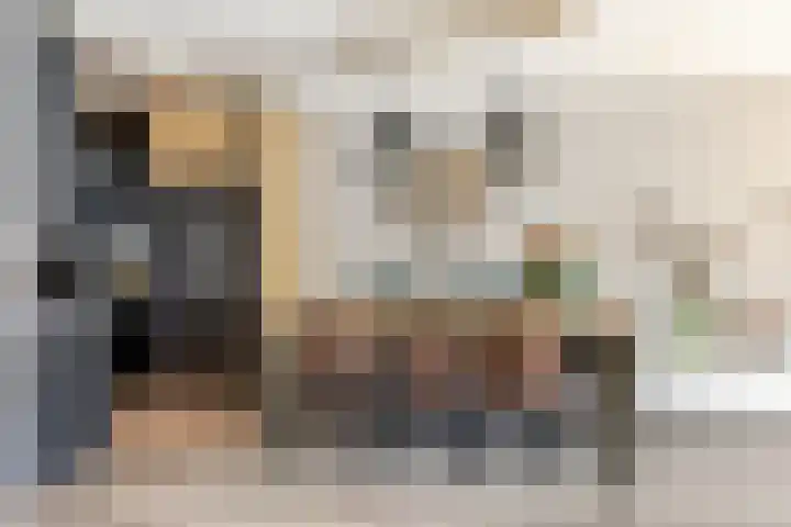 Anjerveld 15 Nieuwerkerk aan den IJssel thumbnail 12