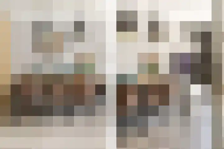 Anjerveld 15 Nieuwerkerk aan den IJssel thumbnail 13