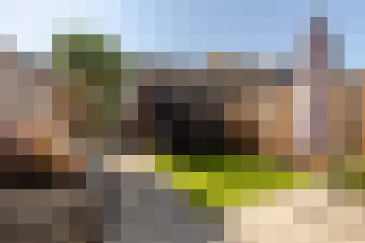Anjerveld 15 Nieuwerkerk aan den IJssel thumbnail 23
