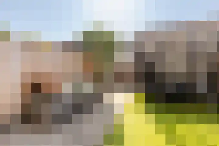 Anjerveld 15 Nieuwerkerk aan den IJssel thumbnail 25
