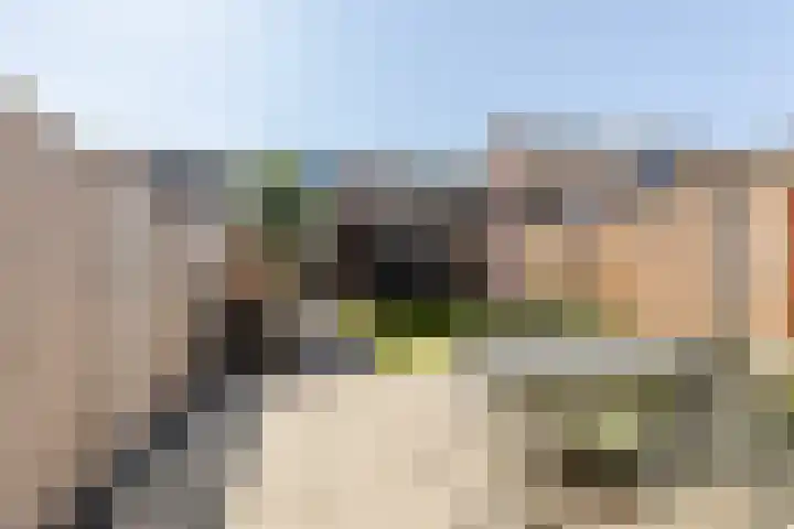 Anjerveld 15 Nieuwerkerk aan den IJssel thumbnail 26