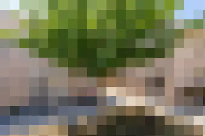 Anjerveld 15 Nieuwerkerk aan den IJssel thumbnail 27