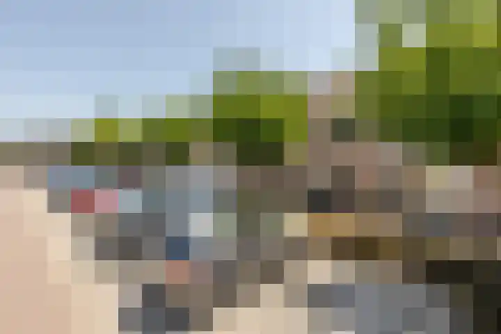 Anjerveld 15 Nieuwerkerk aan den IJssel thumbnail 28