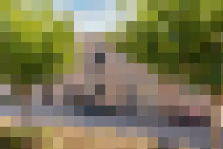Anjerveld 15 Nieuwerkerk aan den IJssel thumbnail 35