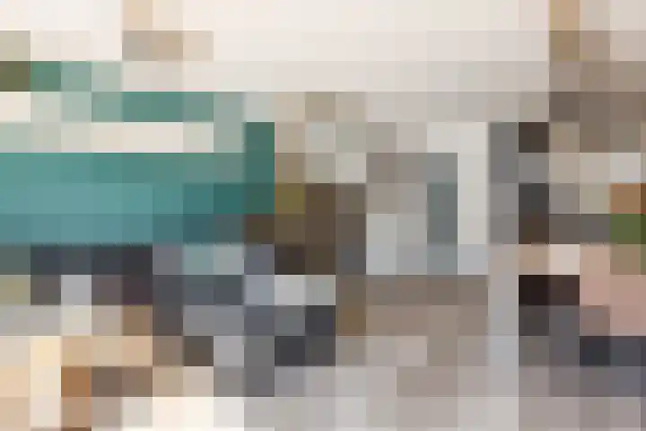 Anjerveld 15 Nieuwerkerk aan den IJssel thumbnail 8