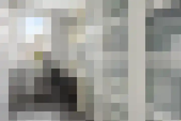 Anjerveld 21 Nieuwerkerk aan den IJssel thumbnail 17