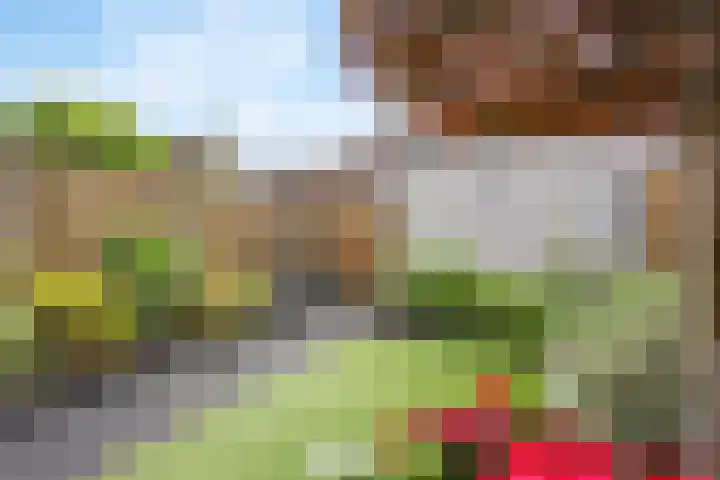 Anjerveld 21 Nieuwerkerk aan den IJssel thumbnail 27