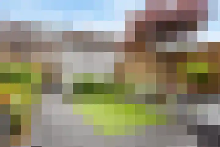 Anjerveld 21 Nieuwerkerk aan den IJssel thumbnail 28