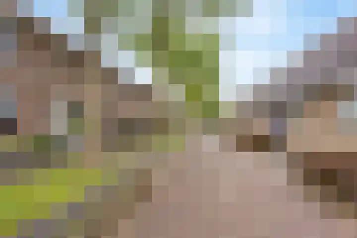 Anjerveld 21 Nieuwerkerk aan den IJssel thumbnail 29