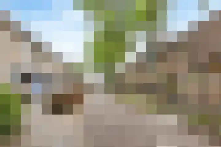 Anjerveld 21 Nieuwerkerk aan den IJssel thumbnail 30