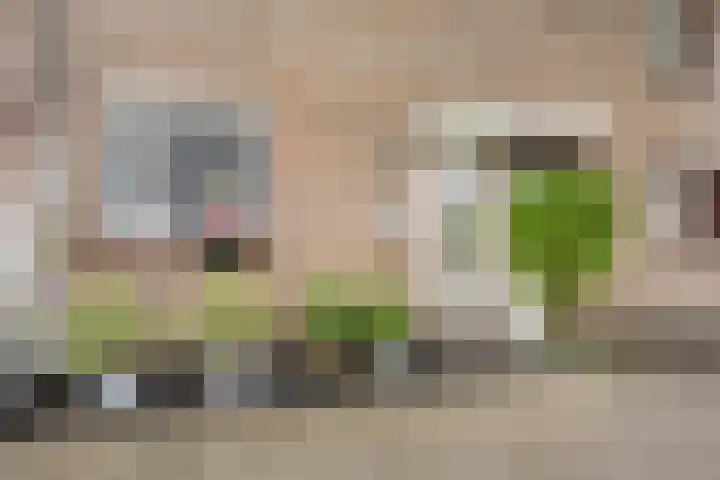 Anjerveld 21 Nieuwerkerk aan den IJssel thumbnail 32