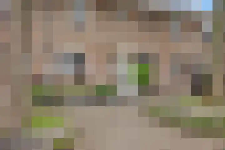Anjerveld 21 Nieuwerkerk aan den IJssel thumbnail 34