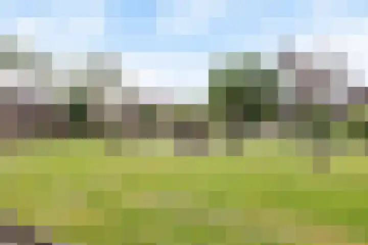 Anjerveld 21 Nieuwerkerk aan den IJssel thumbnail 35