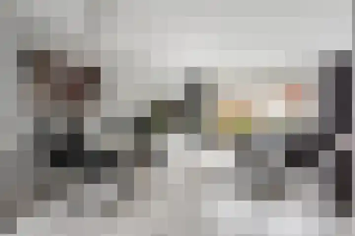 Anjerveld 21 Nieuwerkerk aan den IJssel thumbnail 4