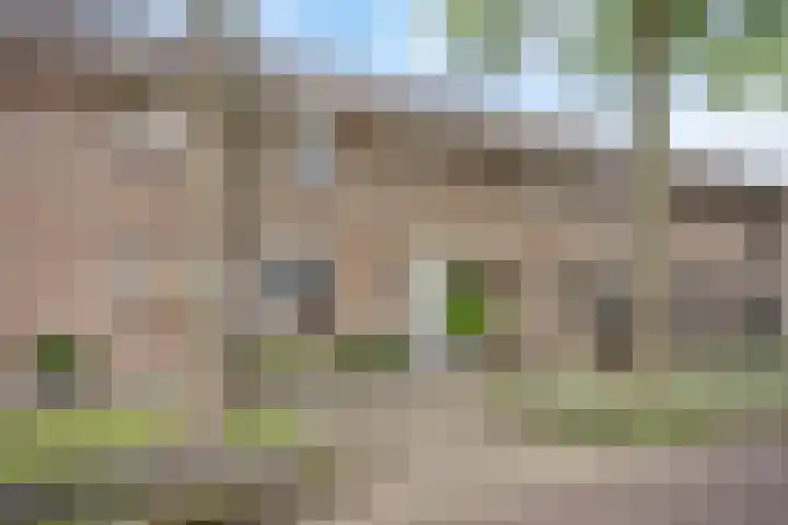 Anjerveld 21 Nieuwerkerk aan den IJssel thumbnail 40