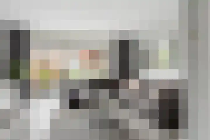 Anjerveld 21 Nieuwerkerk aan den IJssel thumbnail 6