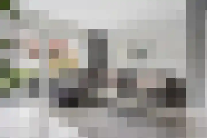 Anjerveld 21 Nieuwerkerk aan den IJssel thumbnail 7