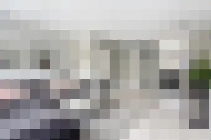 Anjerveld 21 Nieuwerkerk aan den IJssel thumbnail 8
