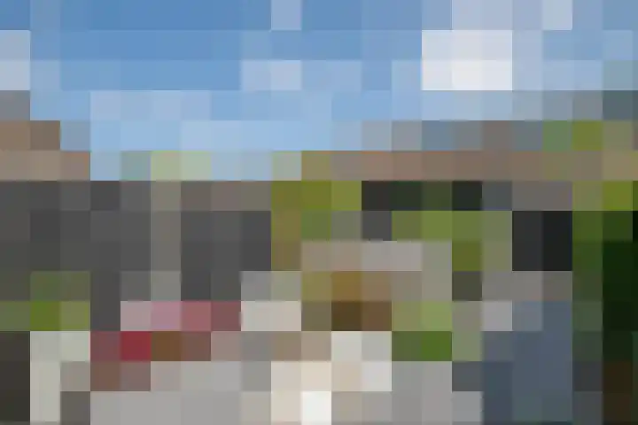 Anjerveld 27 Nieuwerkerk aan den IJssel thumbnail 25