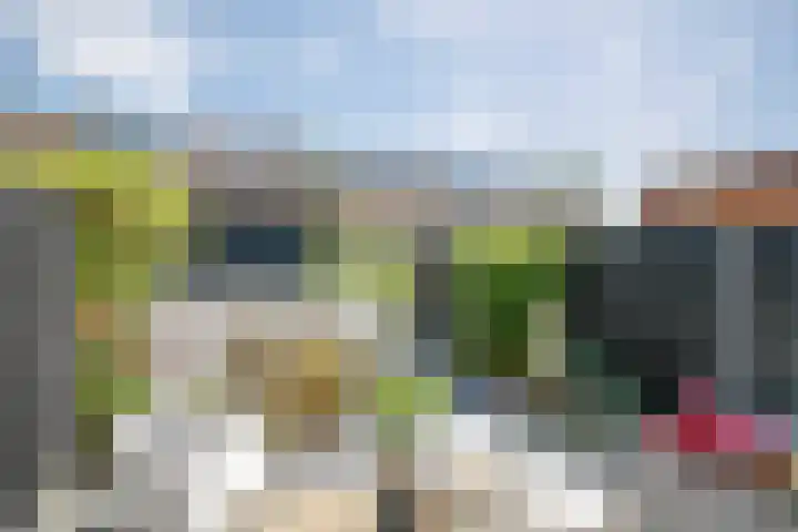 Anjerveld 27 Nieuwerkerk aan den IJssel thumbnail 26