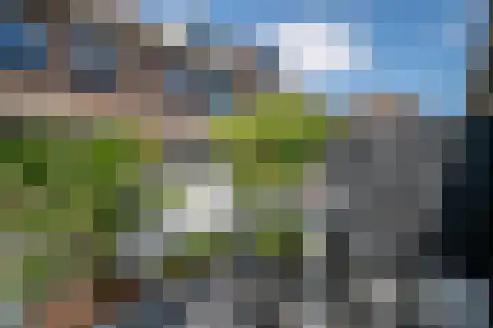 Anjerveld 27 Nieuwerkerk aan den IJssel thumbnail 29