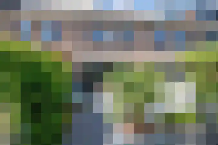 Anjerveld 27 Nieuwerkerk aan den IJssel thumbnail 30