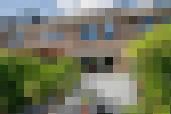 Anjerveld 27 Nieuwerkerk aan den IJssel thumbnail 31