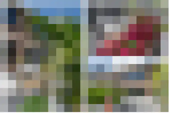 Anjerveld 27 Nieuwerkerk aan den IJssel thumbnail 32