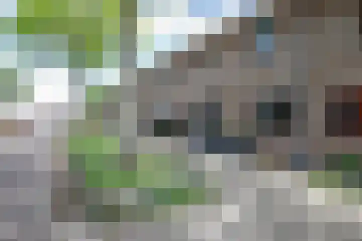 Anjerveld 27 Nieuwerkerk aan den IJssel thumbnail 33