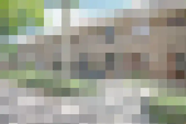 Anjerveld 27 Nieuwerkerk aan den IJssel thumbnail 34