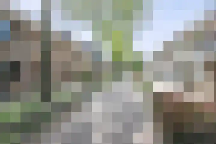 Anjerveld 27 Nieuwerkerk aan den IJssel thumbnail 36