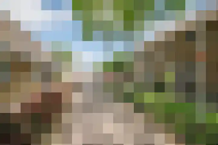 Anjerveld 27 Nieuwerkerk aan den IJssel thumbnail 37