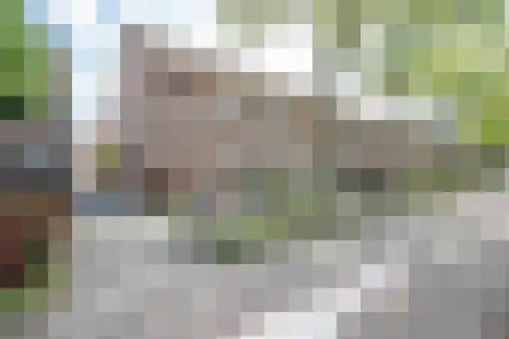 Anjerveld 27 Nieuwerkerk aan den IJssel thumbnail 38