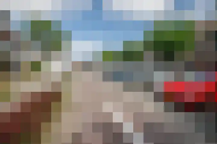 Anjerveld 27 Nieuwerkerk aan den IJssel thumbnail 39