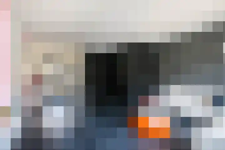Anjerveld 27 Nieuwerkerk aan den IJssel thumbnail 4