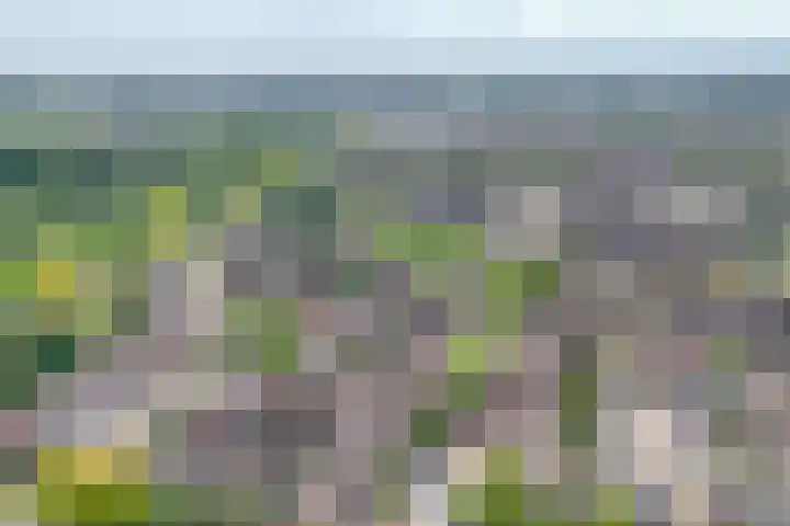 Anjerveld 27 Nieuwerkerk aan den IJssel thumbnail 46