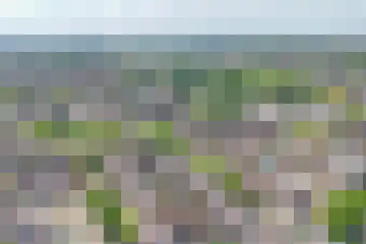 Anjerveld 27 Nieuwerkerk aan den IJssel thumbnail 47