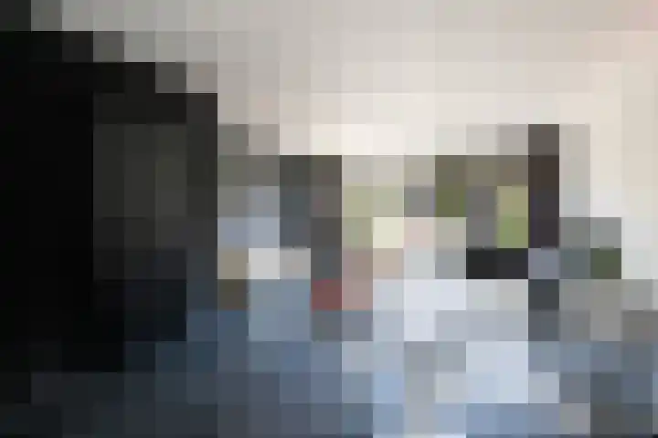 Anjerveld 27 Nieuwerkerk aan den IJssel thumbnail 6
